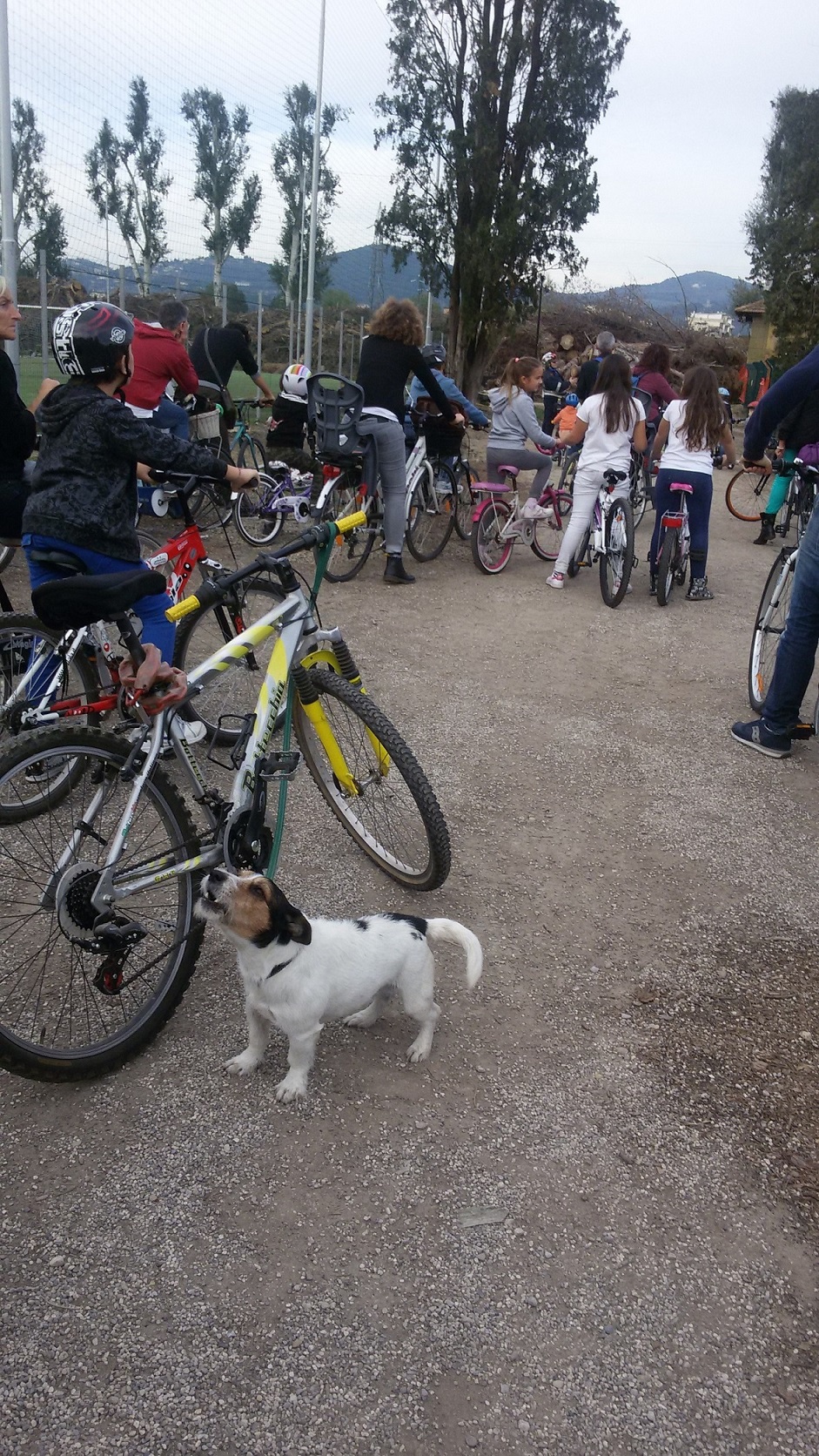 25 ott. il canino ciclista alla partenza